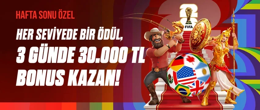 Kazanç Basamakları